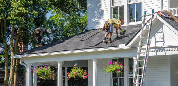 Best Roof Moss and Algae Removal  in Linganore, MD